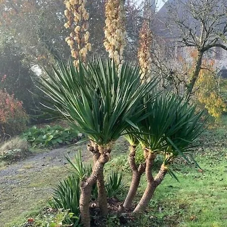 Le Petit Manoir B&B 3*