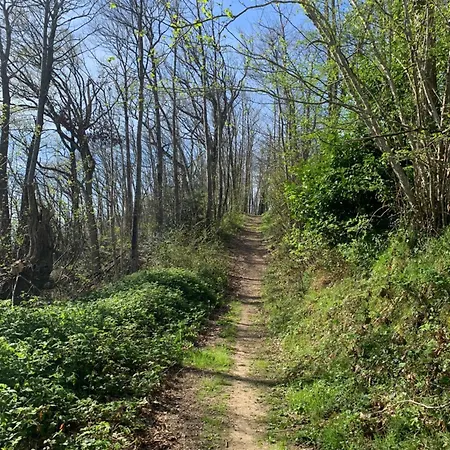 Le Petit Manoir B&B 3*