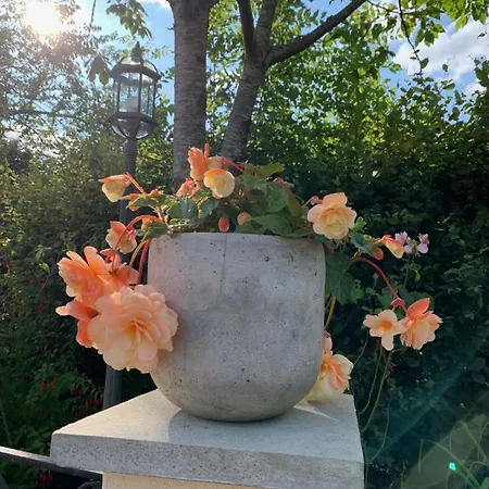 Le Petit Manoir Isigny-le-Buat