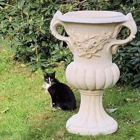 Le Petit Manoir B&B 3*