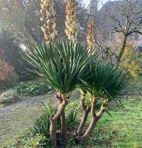 Le Petit Manoir Bed & Breakfast 3*