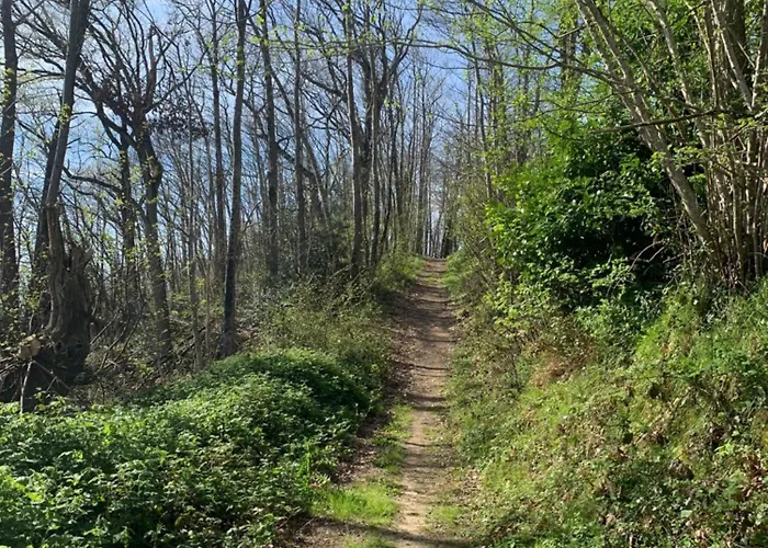 Le Petit Manoir Bed & Breakfast 3*