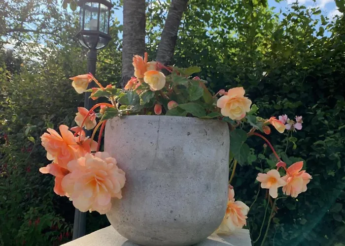 Le Petit Manoir Isigny-le-Buat