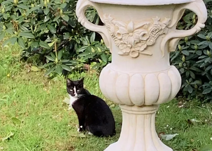 Le Petit Manoir Bed & Breakfast 3*